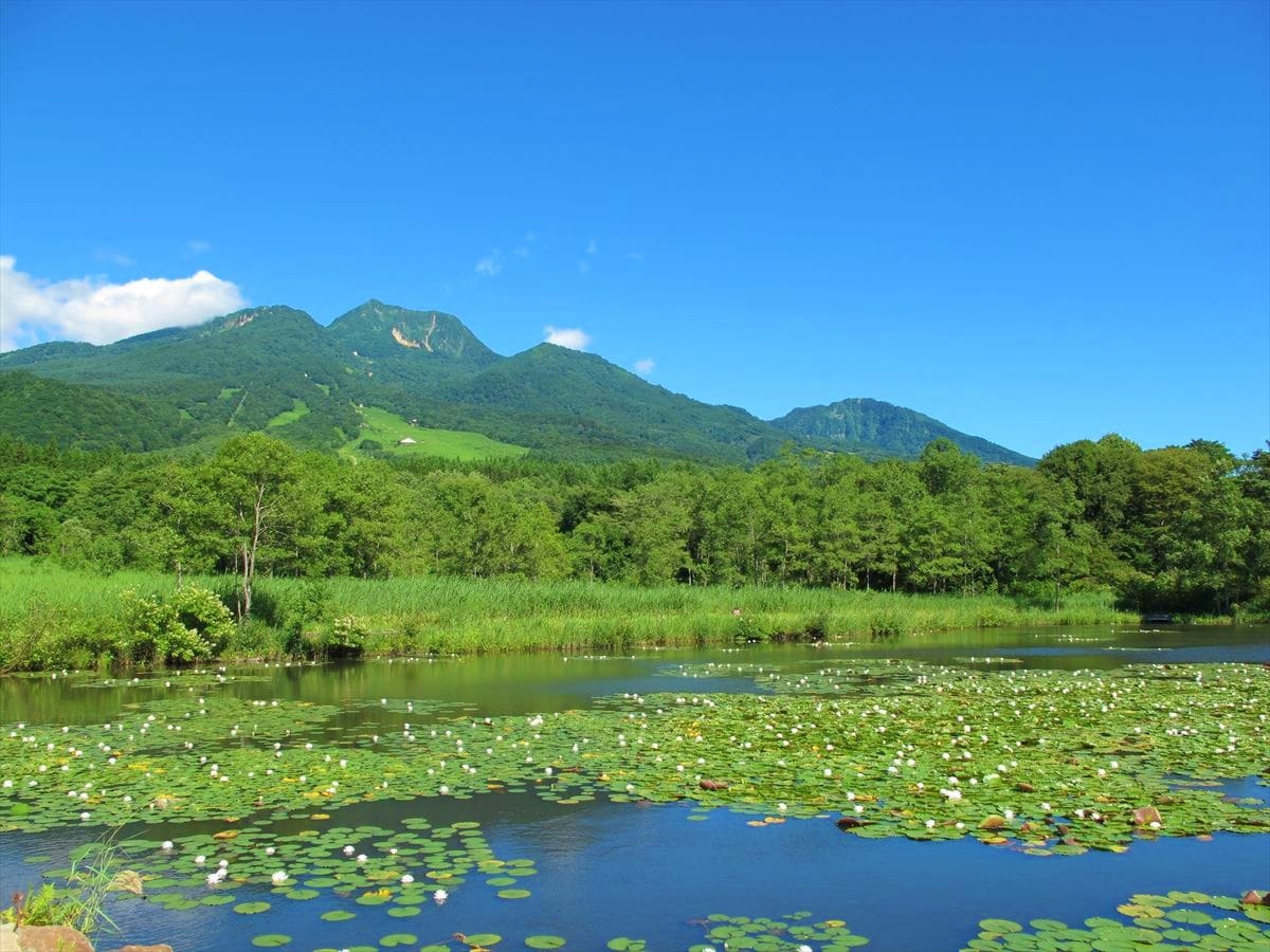 新潟県妙高市の「いもり池」