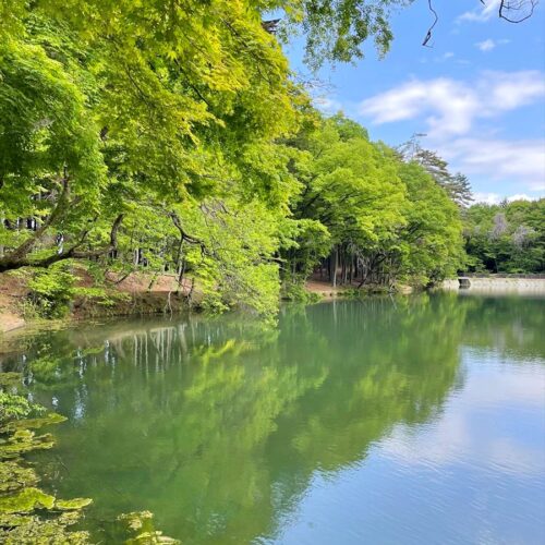 山梨県南アルプス市の「県民の森 伊奈ケ湖」