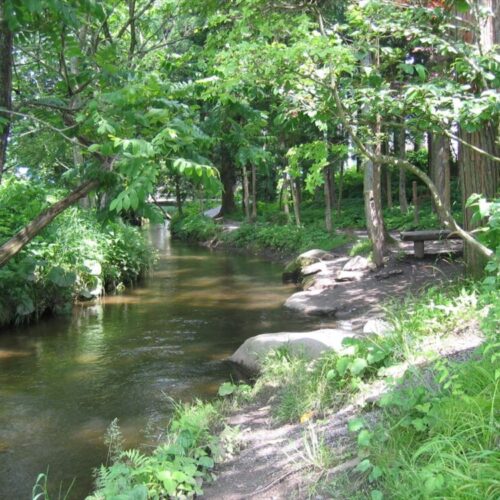 岩手県遠野市のカッパ淵