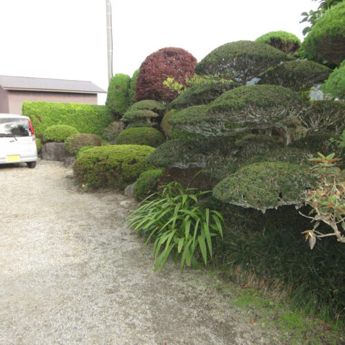 岩手県遠野市の物件の庭