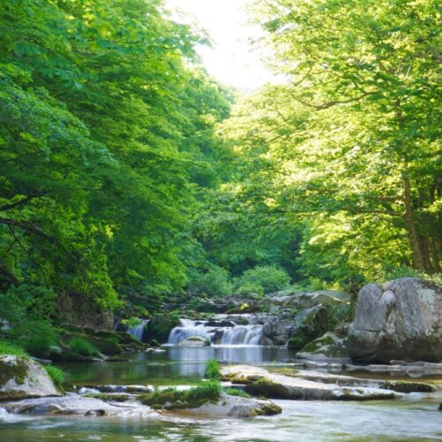 岩手県遠野市の重湍渓