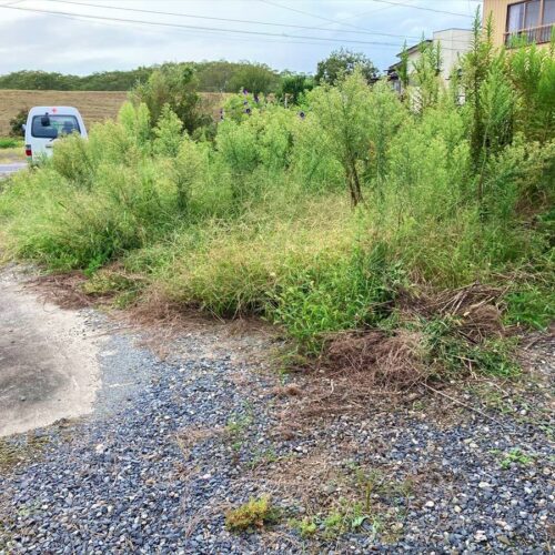 宮城県登米市の物件の敷地