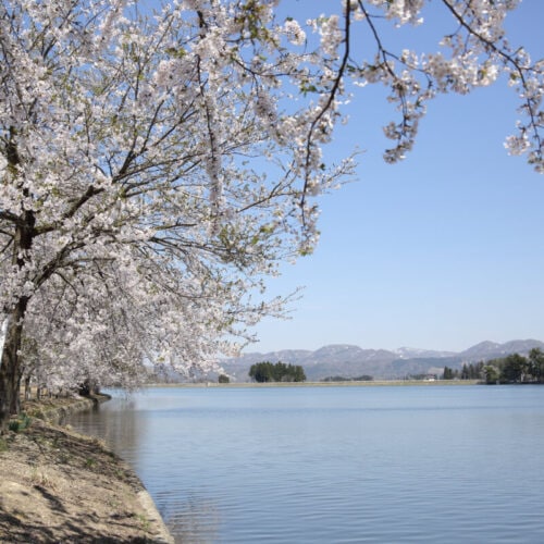 山形県尾花沢市にある徳良湖