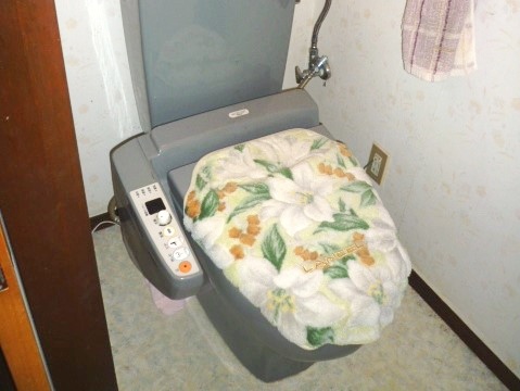 福井県大野市の物件のトイレ