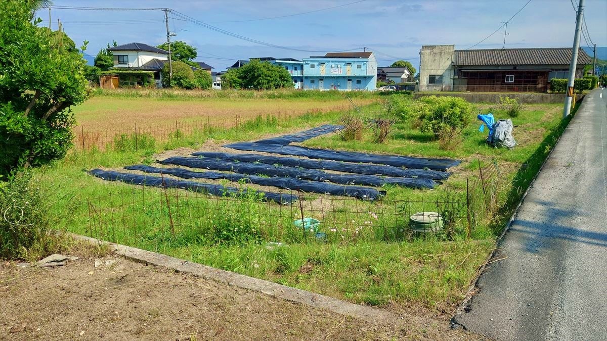 山口県柳井市の物件に付属する畑