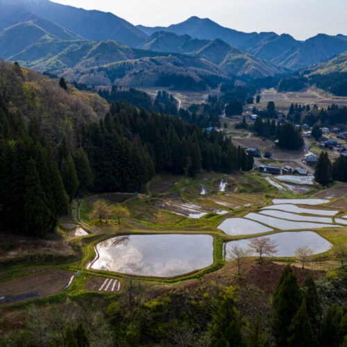 新潟県三条市下田にある北五百川の棚田