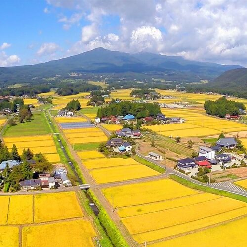 福島県大玉村の安達太良山と田園風景