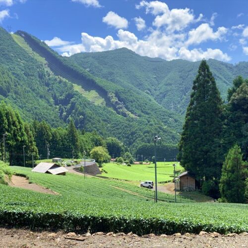 静岡県静岡市の大沢地区