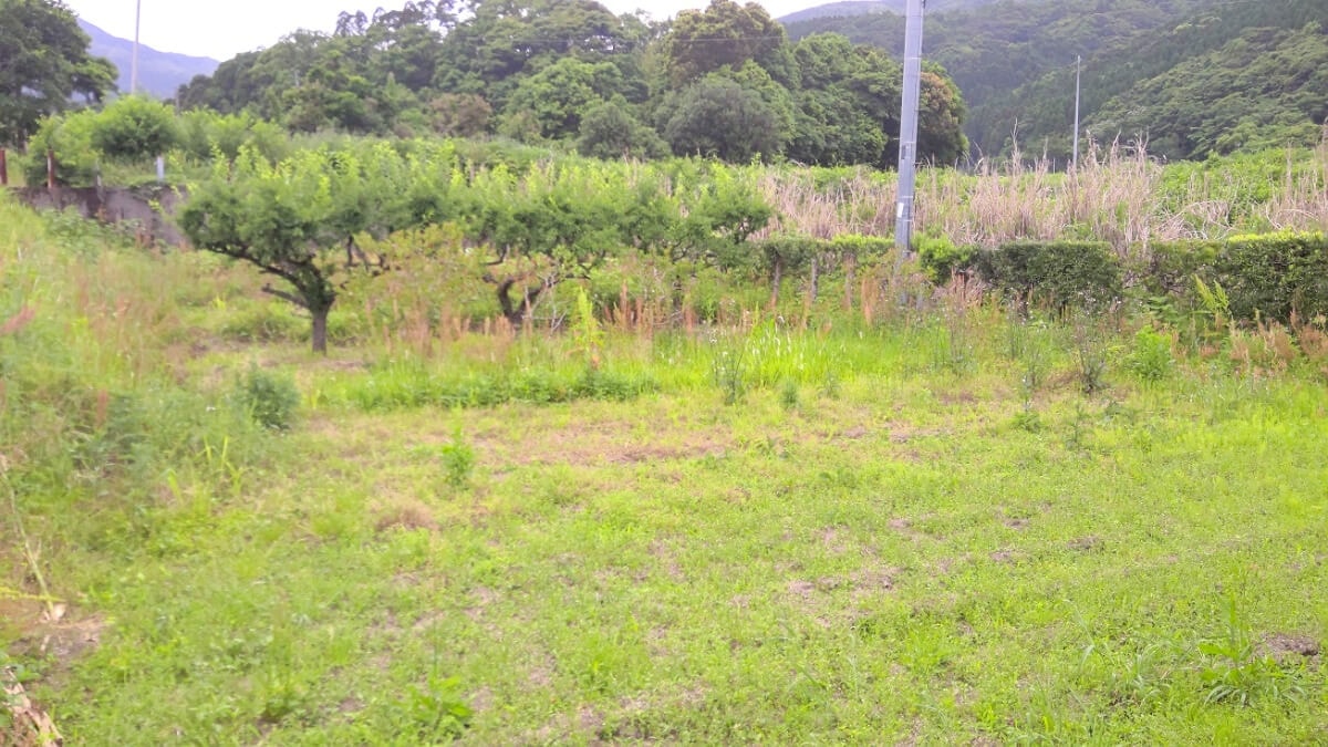 鹿児島県肝付町の物件の農地