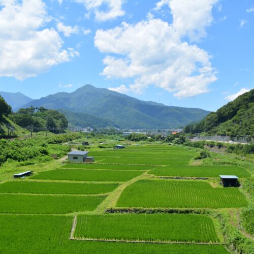 中央本線と大月市内の田園風景