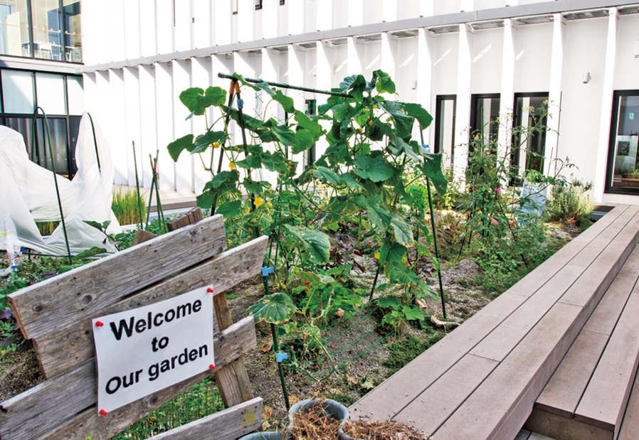 青森県八戸市。こども支援センターに通う子どもたちが花や野菜を育てる菜園