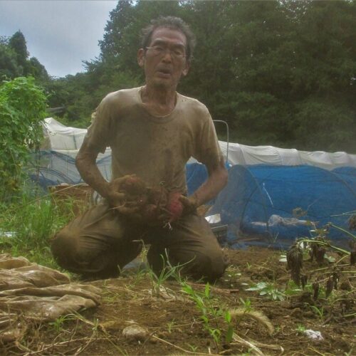 まだまだ暑い9月17日。白いシャツは汗と土でねずみ色に