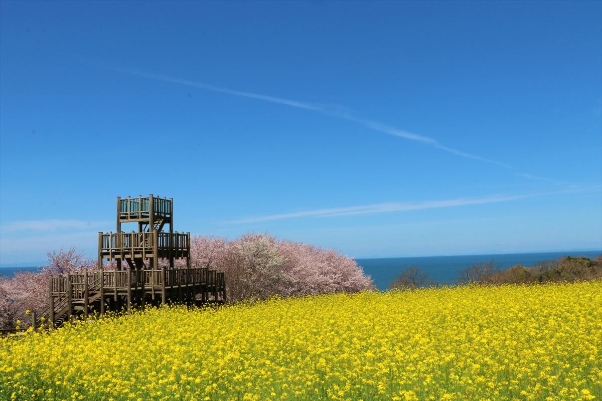 大分県豊後高田市の粟嶋公園