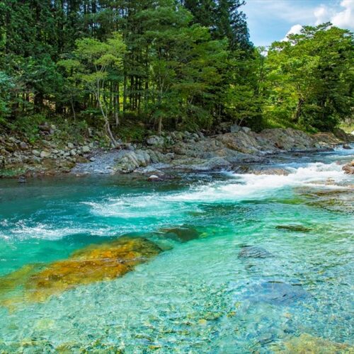 栃木県鹿沼市を流れる大芦川は関東一の清流