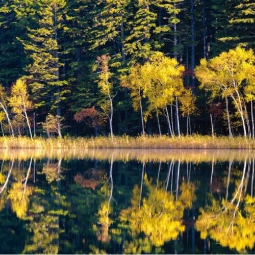 【絶景！】北海道足寄町、青い湖に映る原生林とエゾリスが見られる大自然の散策【ほっとphoto便り】