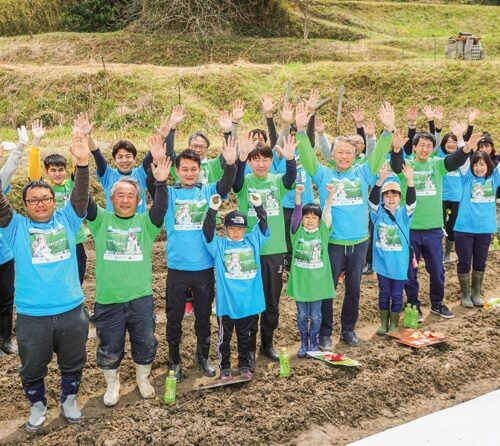 阪南市では緑の環境を再生するため、企業と市民が協力して遊休農地を茶畑に転換
