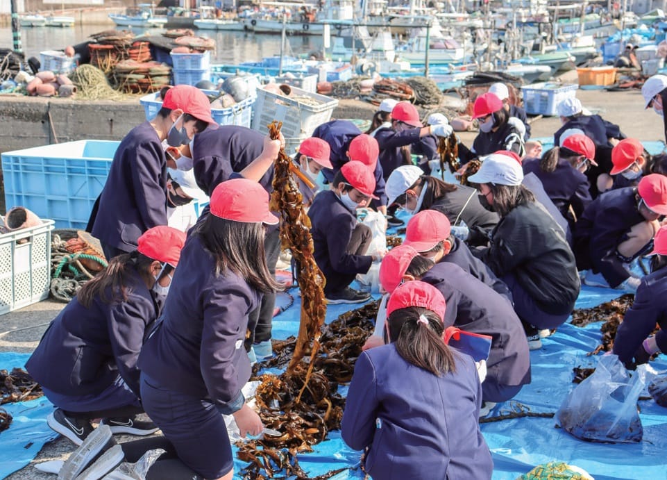 阪南市の小学校では、ワカメ収穫や海苔すき体験、アマモ場再生活動など、海洋教育を実施