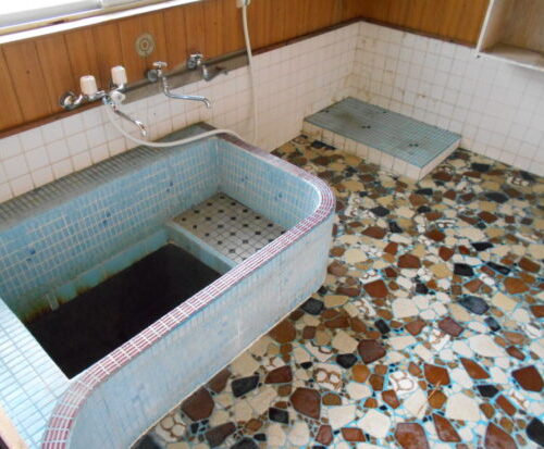 宮崎県えびの市の物件の浴室