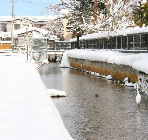 秋田県羽後町三輪地区を流れる用水路（冬期の様子）