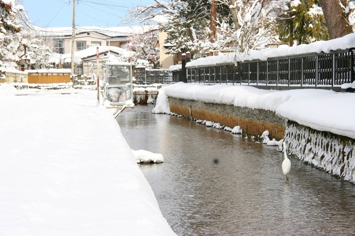 秋田県羽後町三輪地区を流れる用水路（冬期の様子）
