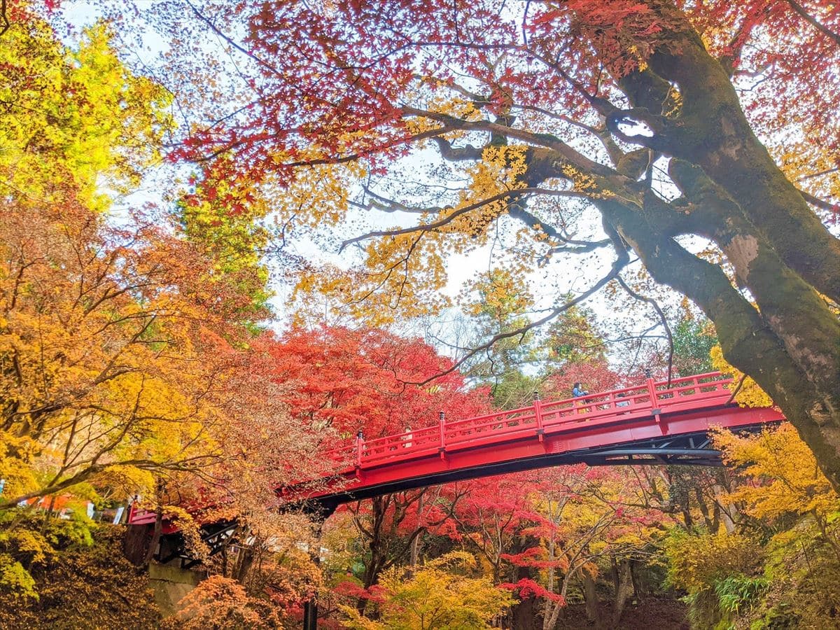 兵庫県養父市の養父神社