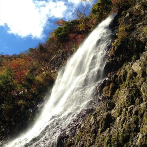 兵庫県養父市の名瀑「天滝」