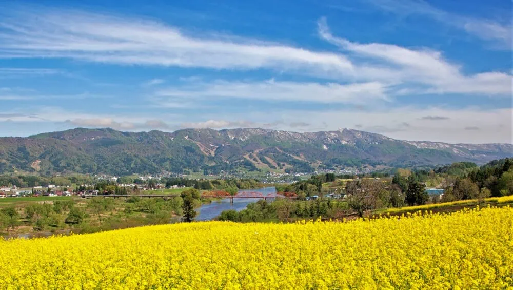 長野県飯山市菜の花公園