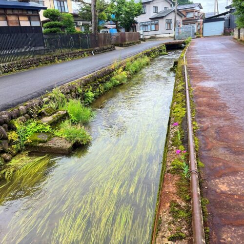 秋田県羽後町三輪地区を流れる用水路