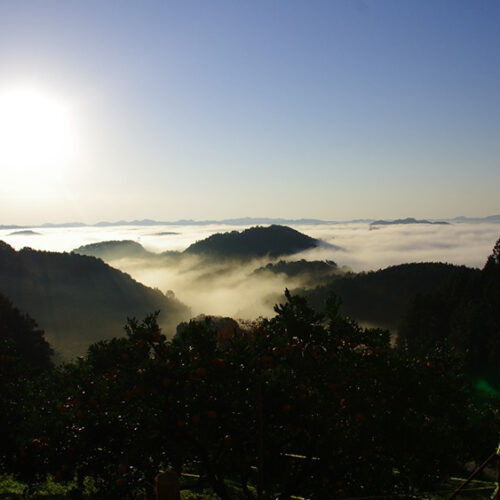 栃木県那須烏山市の雲海