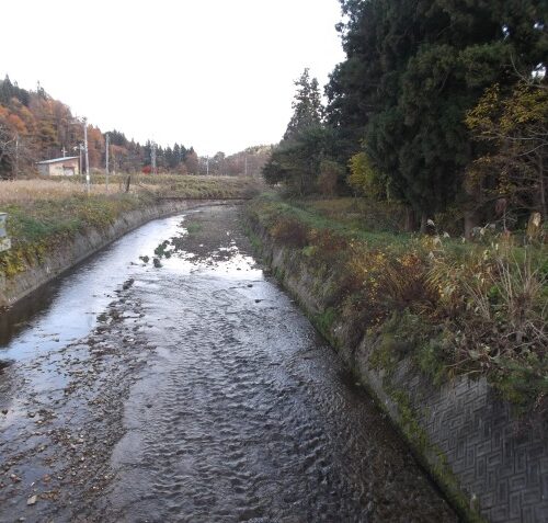 山形県鮭川村の物件周辺