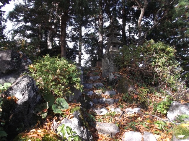 山形県鮭川村の物件の庭4