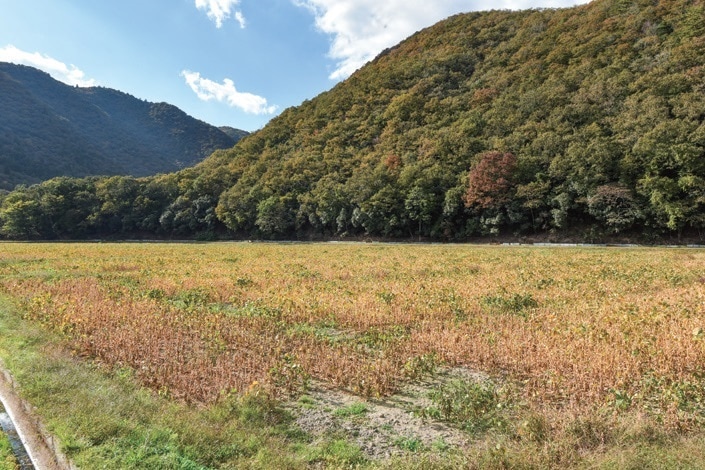兵庫県上郡町はのどかな風景のなかで農作業できる