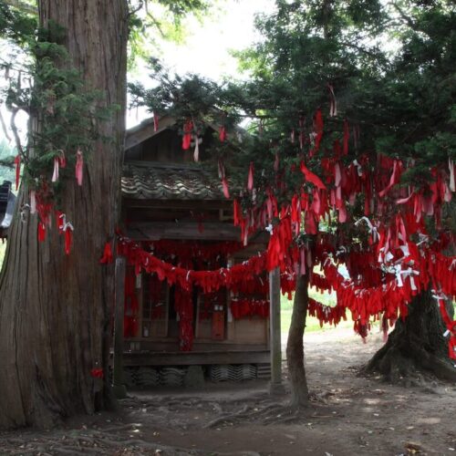 岩手県遠野市の卯子酉神社