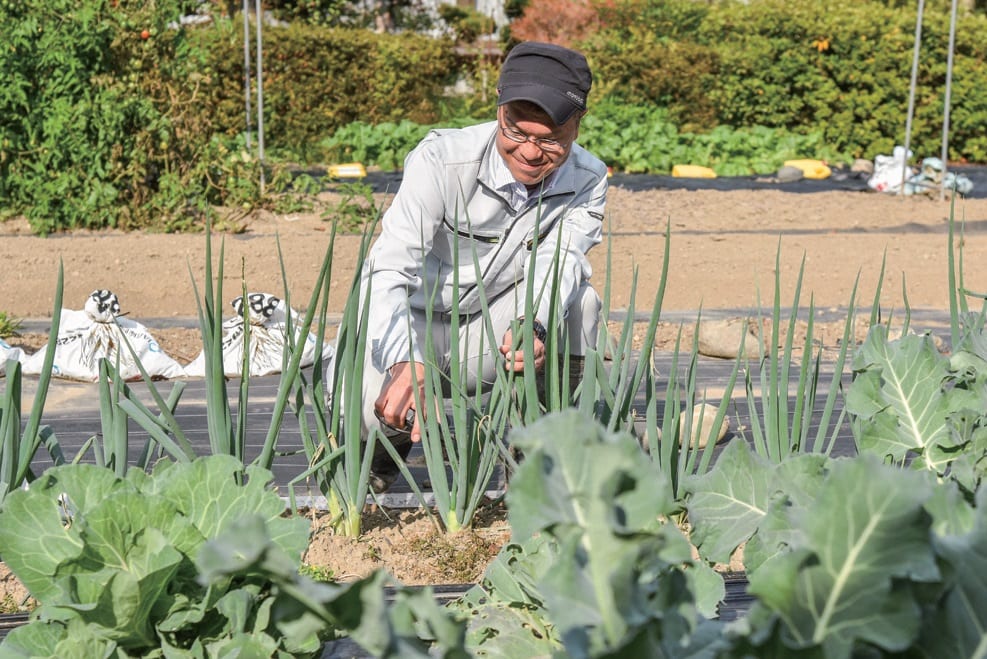 兵庫県上郡町で菜園や畑で作物を育てている