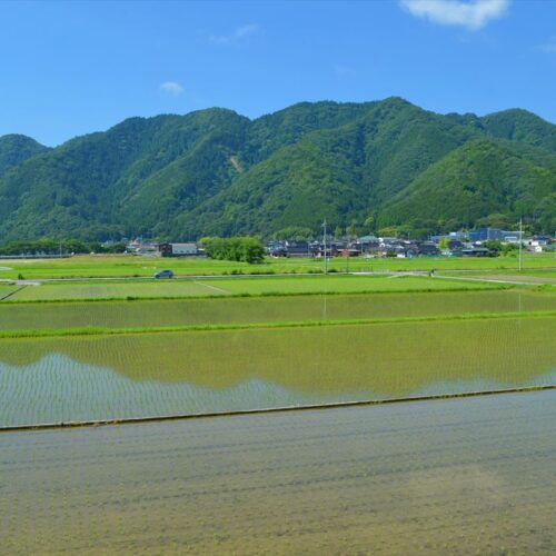兵庫県宍粟市の物件の庭からの景色