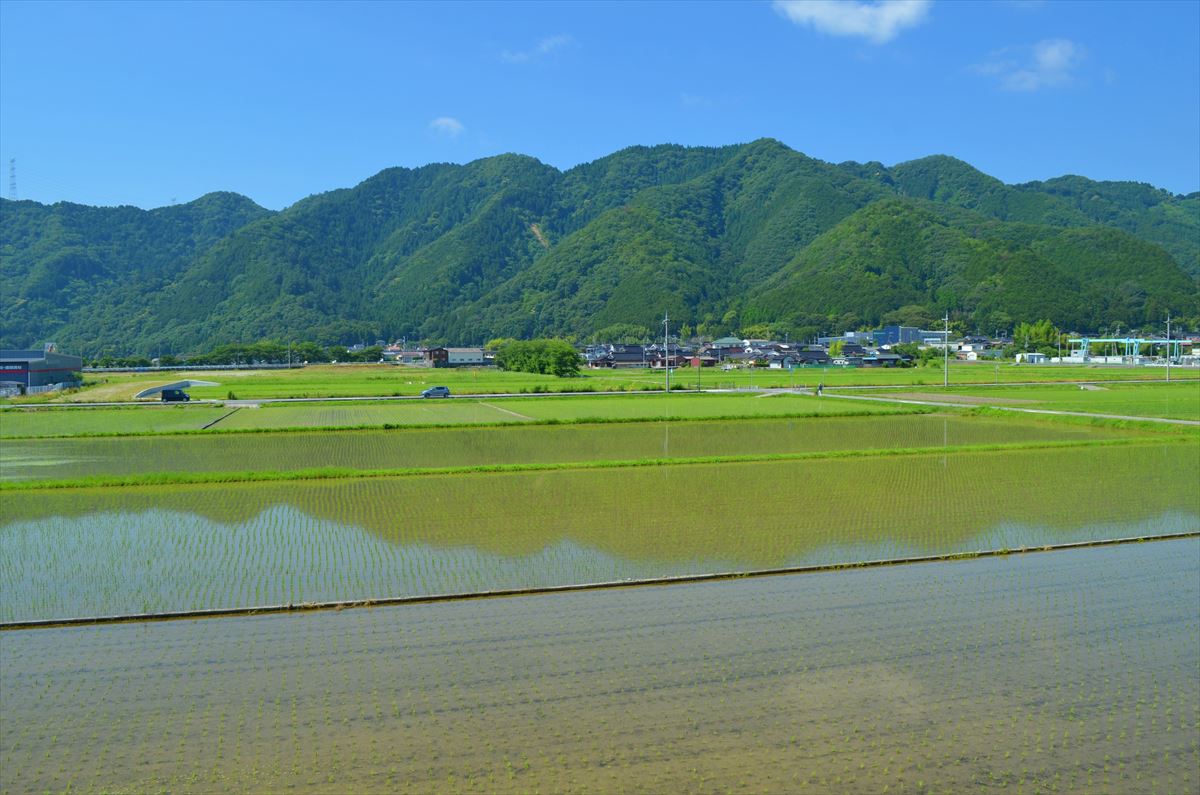 兵庫県宍粟市の物件の庭からの景色