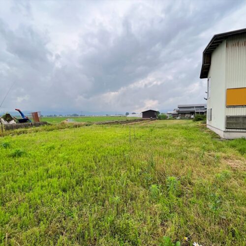 秋田県羽後町の物件の農地