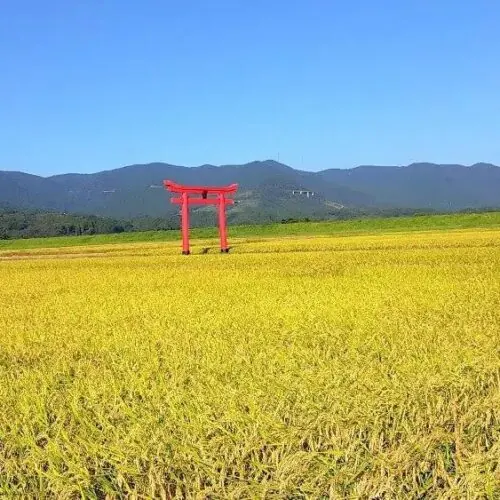 宮崎県えびの市の田園風景