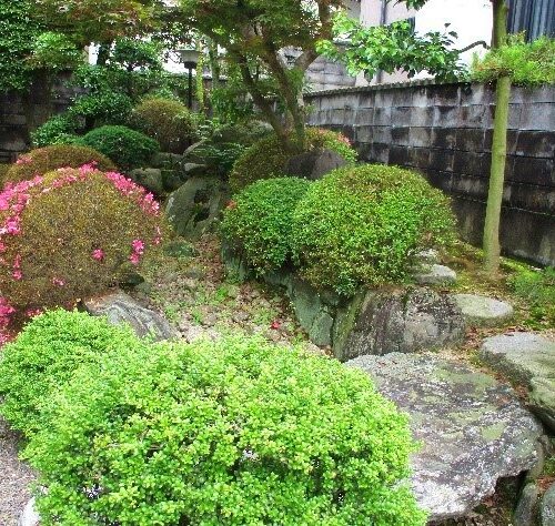 愛媛県西条市の物件の庭