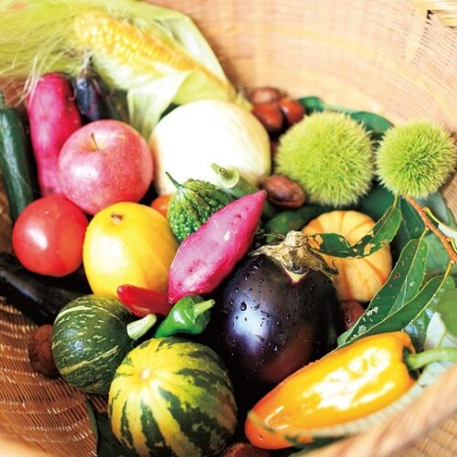 農業に適した気候であることから、亀岡市では京野菜の多くを生産。