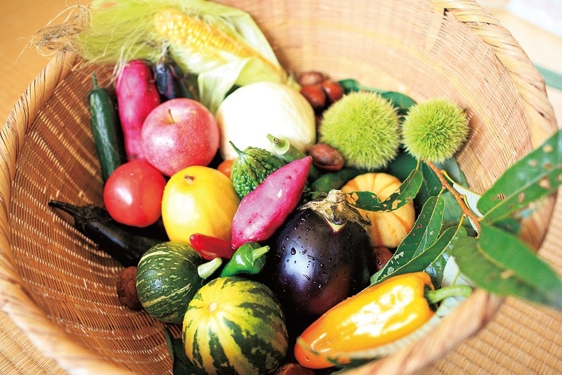 農業に適した気候であることから、亀岡市では京野菜の多くを生産。