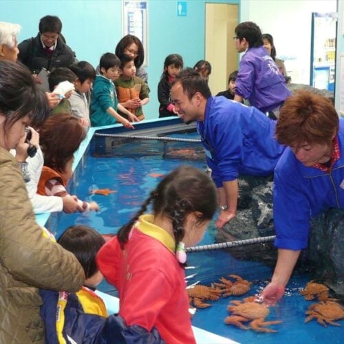 愛知県蒲郡市の竹島水族館