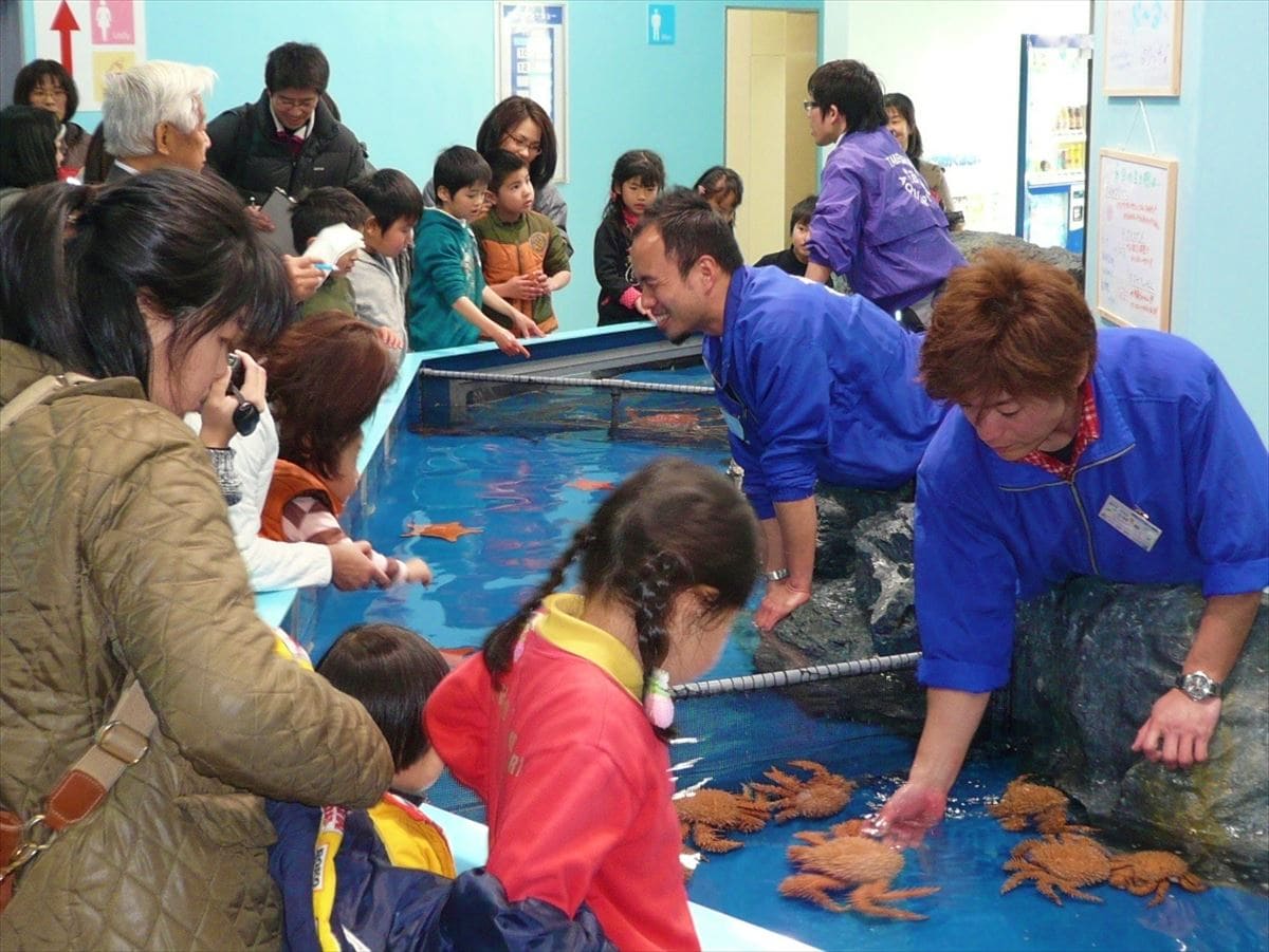 愛知県蒲郡市の竹島水族館