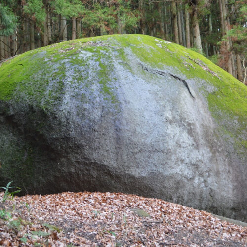 横から見た「古代亀石」も迫力満点。周囲50.5mはびっくりです。