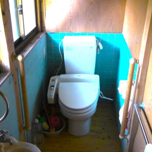 鹿児島県肝付町の物件のトイレ