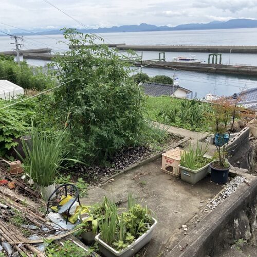 熊本県上天草市の物件に付属する菜園スペース