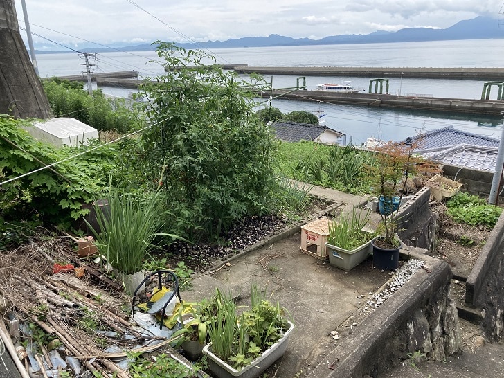 熊本県上天草市の物件に付属する菜園スペース
