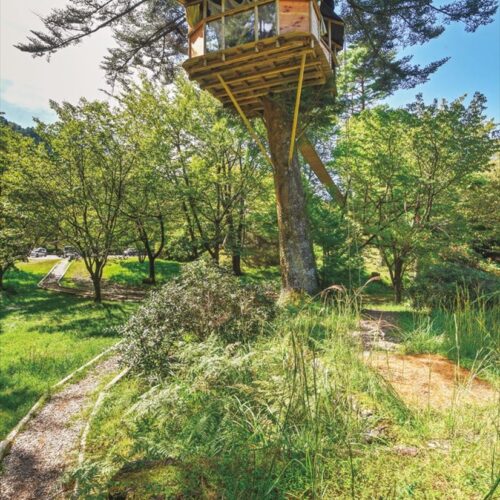 奈良県十津川村の森林体験型アウトドア施設「空中の村」には空中ウオークやツリーハウスなどがある