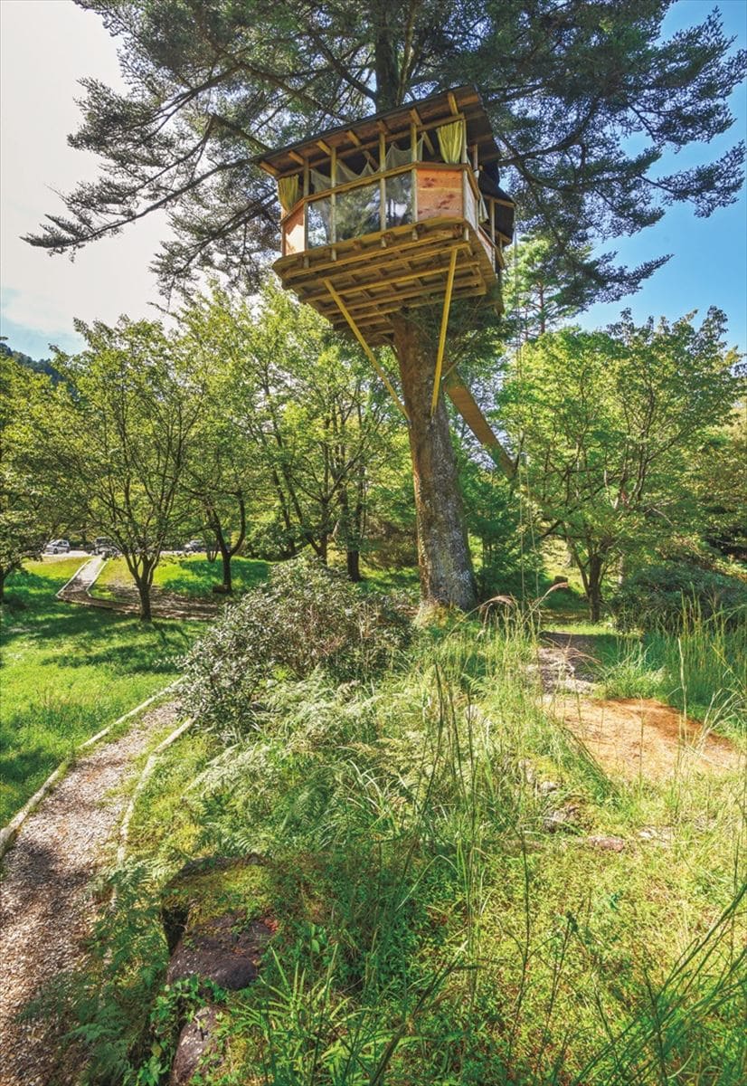 奈良県十津川村の森林体験型アウトドア施設「空中の村」には空中ウオークやツリーハウスなどがある