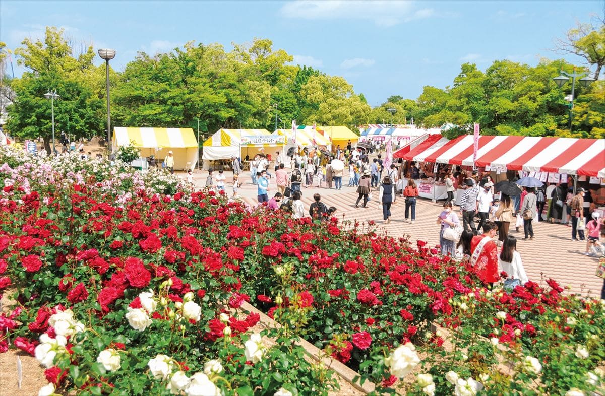 広島県福山市で毎年5月に開催される「福山ばら祭」
